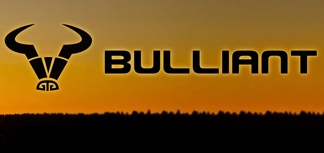 Bulliant logo with bull horns graphic on orange sunset background, silhouette landscape