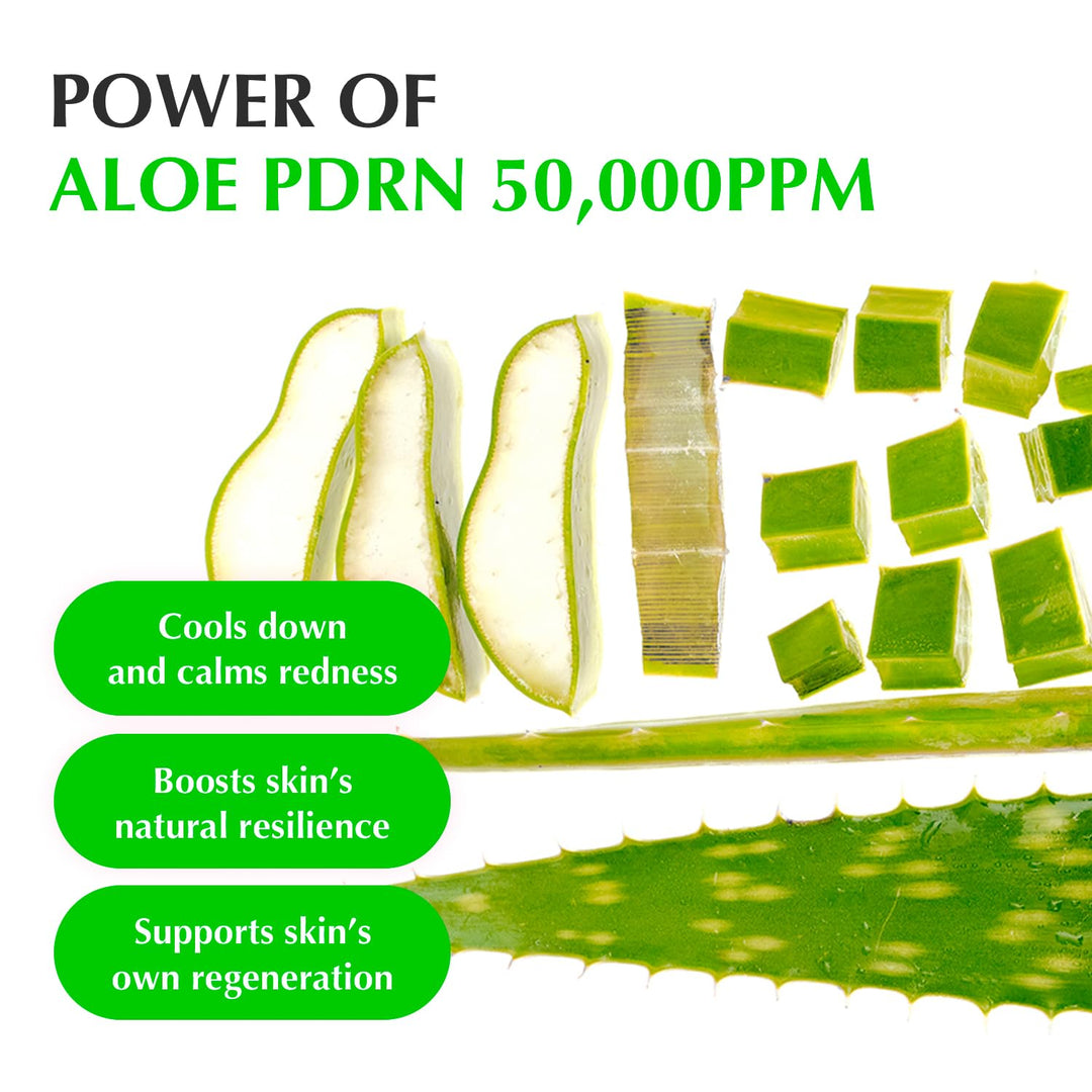 EQQUALBERRY Aloe PDRN Calming Smoothie Serum – Soothing Korean Skin Care for Sensitive Skin, Cica &amp; Aloe for Repair, Hydrating &amp; Radiant Glow, Non-Comedogenic (1.01oz / 30ml)