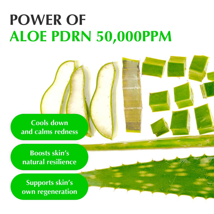 EQQUALBERRY Aloe PDRN Calming Smoothie Serum – Soothing Korean Skin Care for Sensitive Skin, Cica &amp; Aloe for Repair, Hydrating &amp; Radiant Glow, Non-Comedogenic (1.01oz / 30ml)