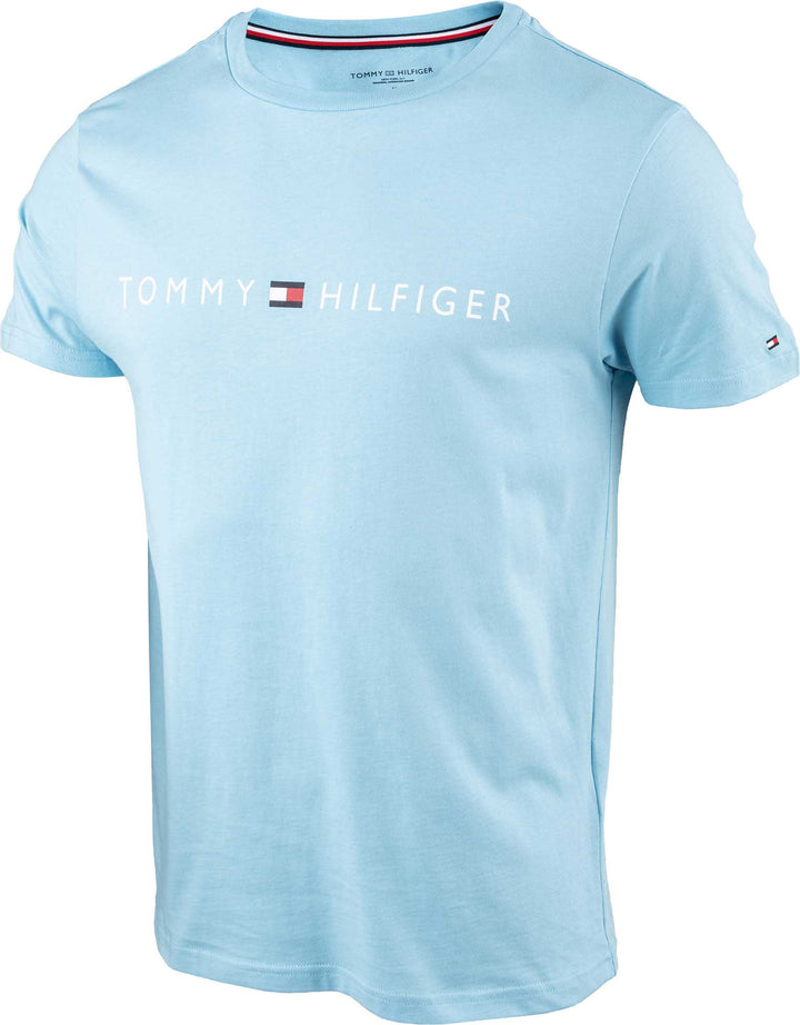 Tommy Hilfiger Men's Cn Short Sleeves Logo T-shirt Blue Regular Fit Size Large - 3alababak