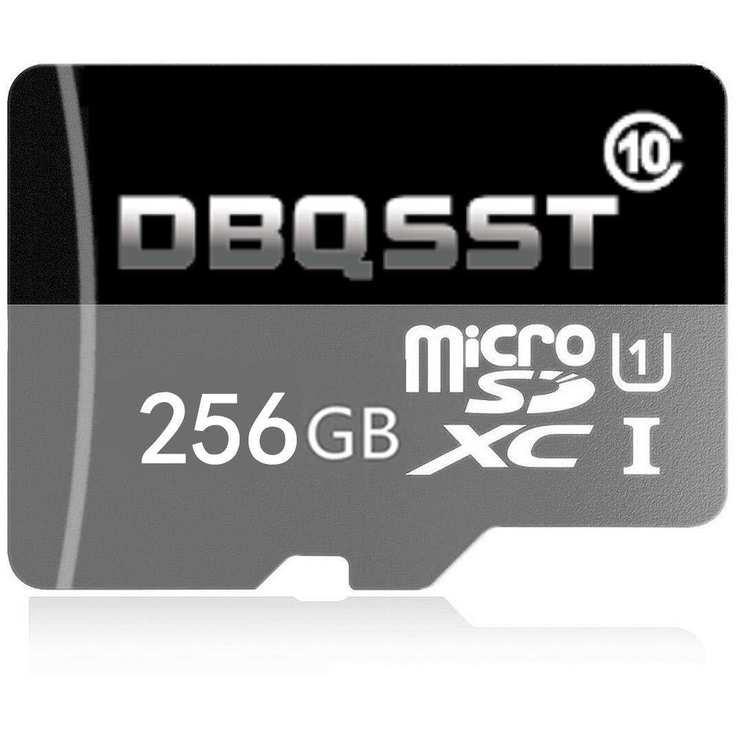 DBQSST 256GB High Speed Micro SD SDXC Class 10 Transfer Speeds Action