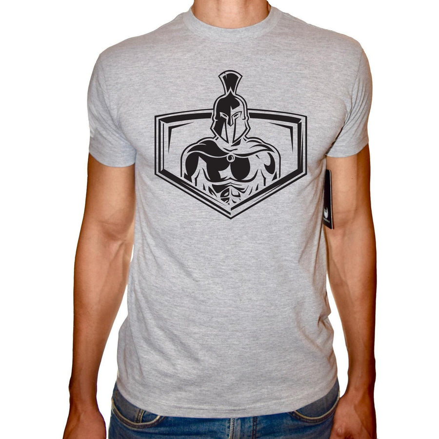 Phoenix GREY Round Neck Printed T-Shirt Men(spartan warrior) - 3alababak